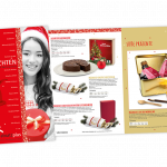 absatzplus Katalog-Layout